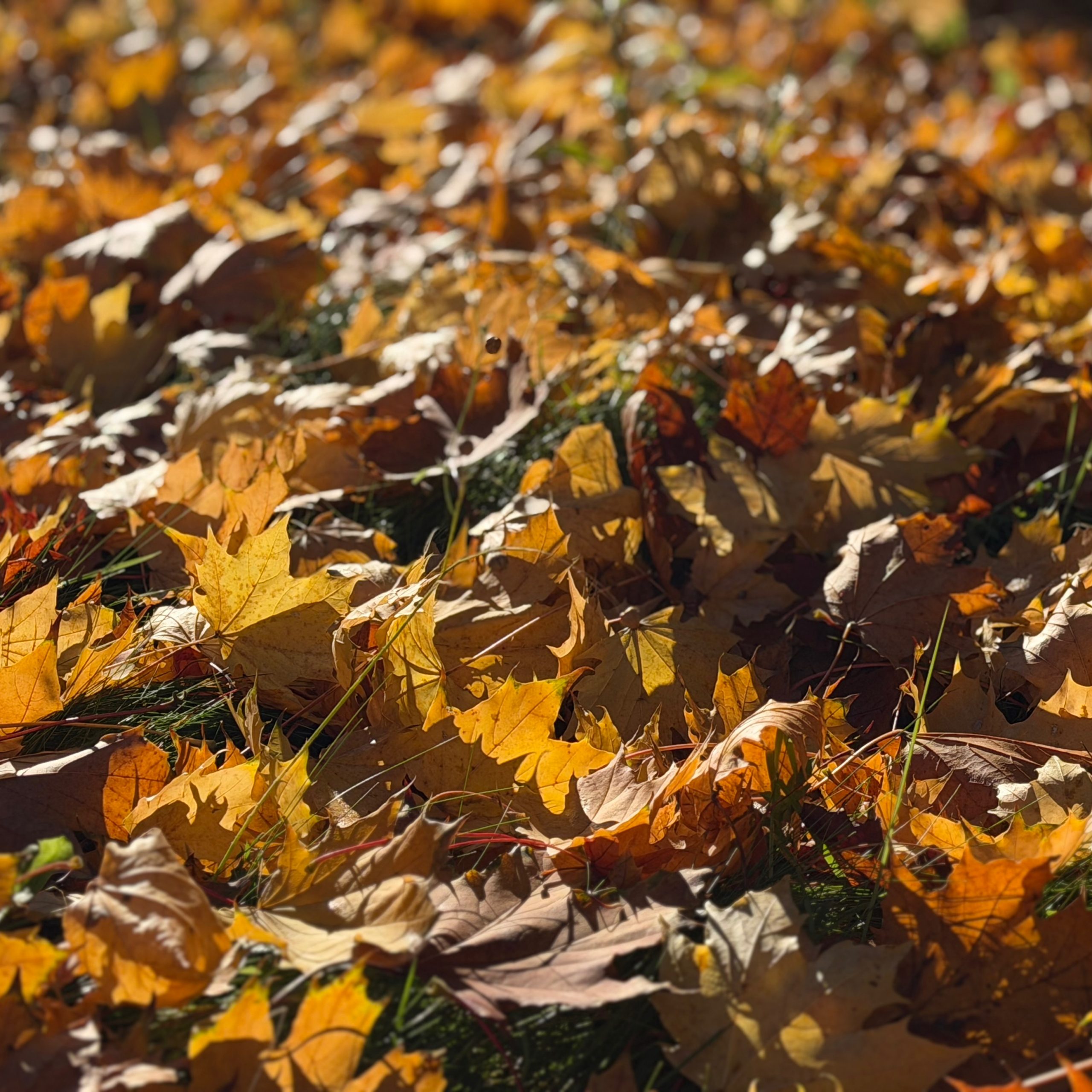 Herbst.