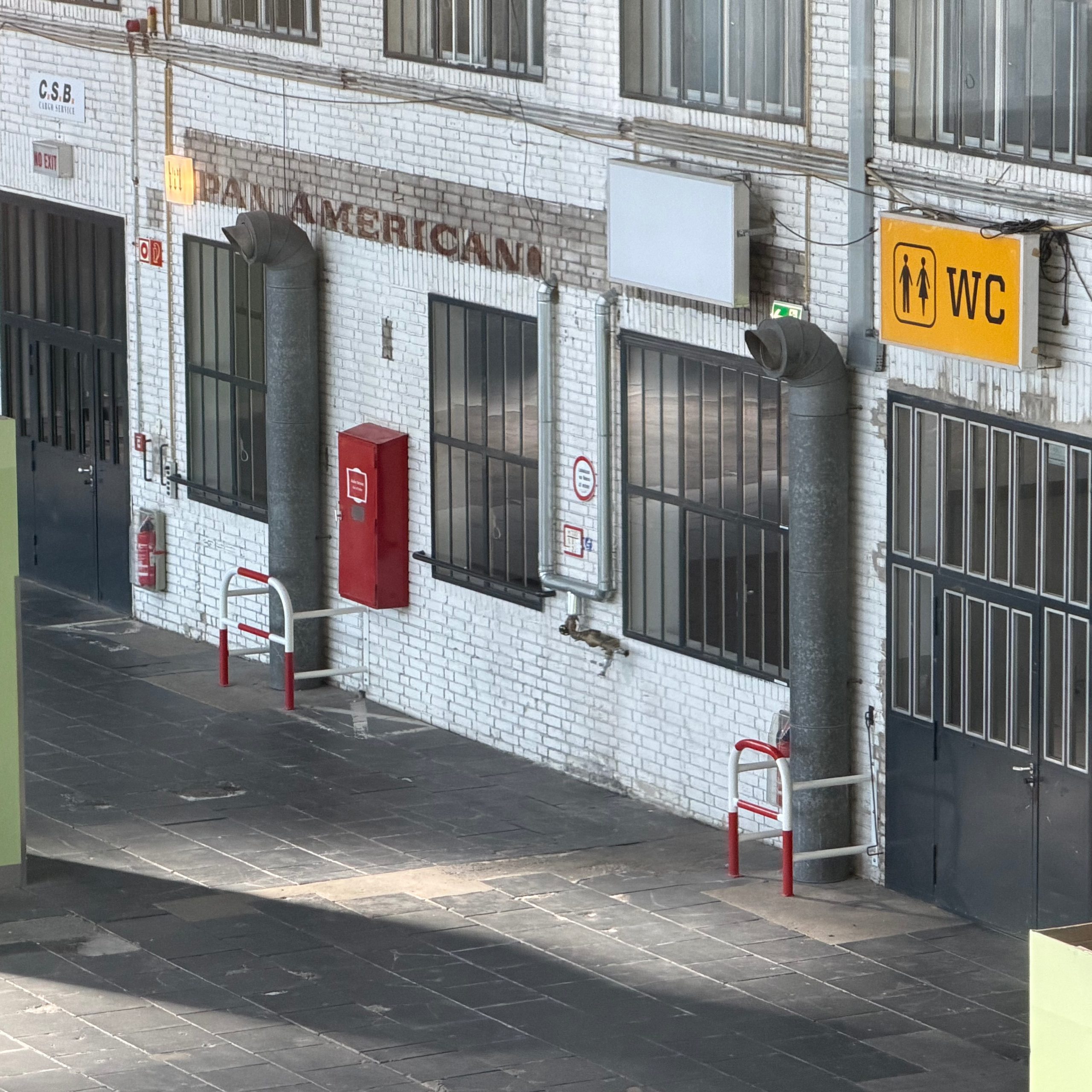 Pan American.
#thf #lostplaces