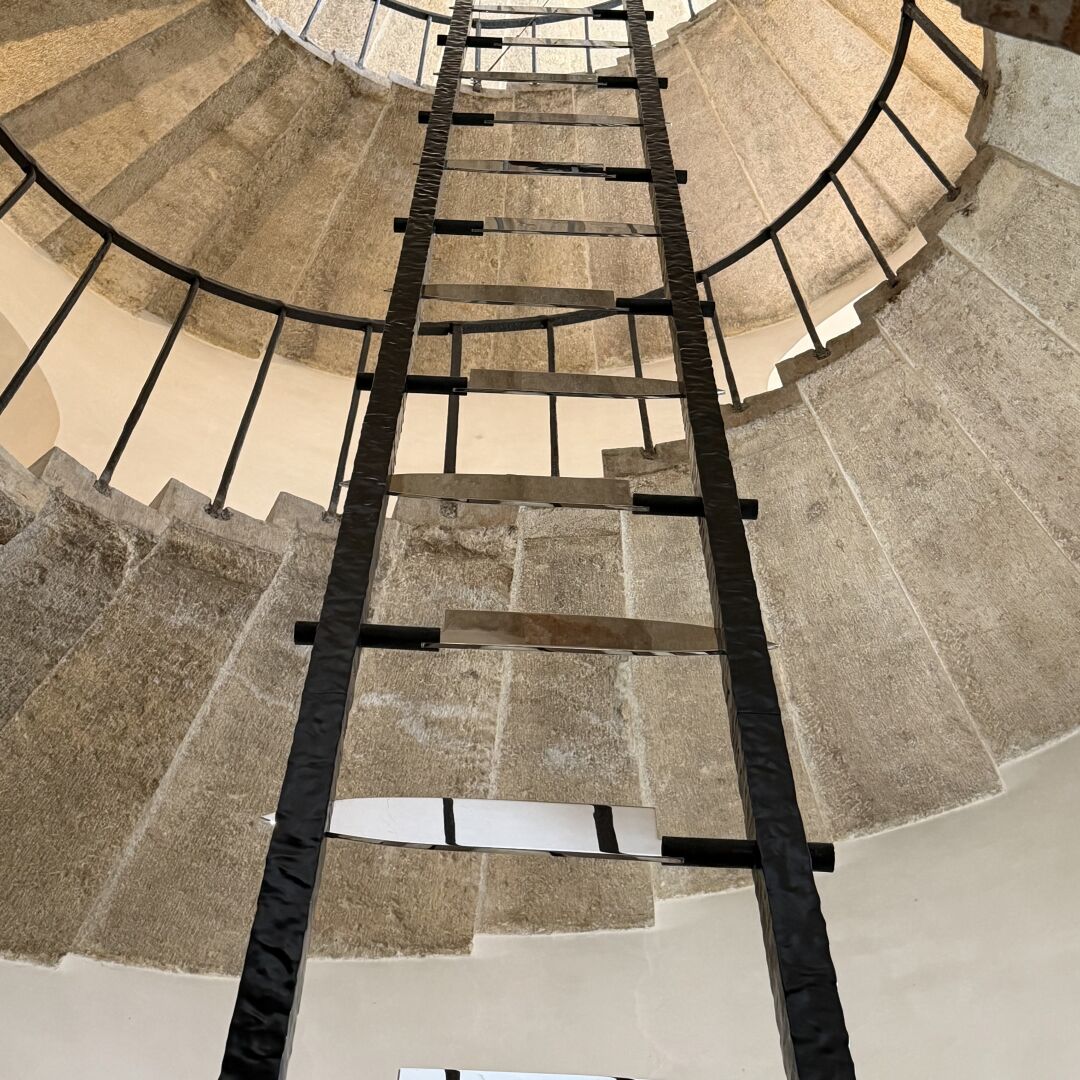 Ladder. Marina Abramović.

#venicebienniale