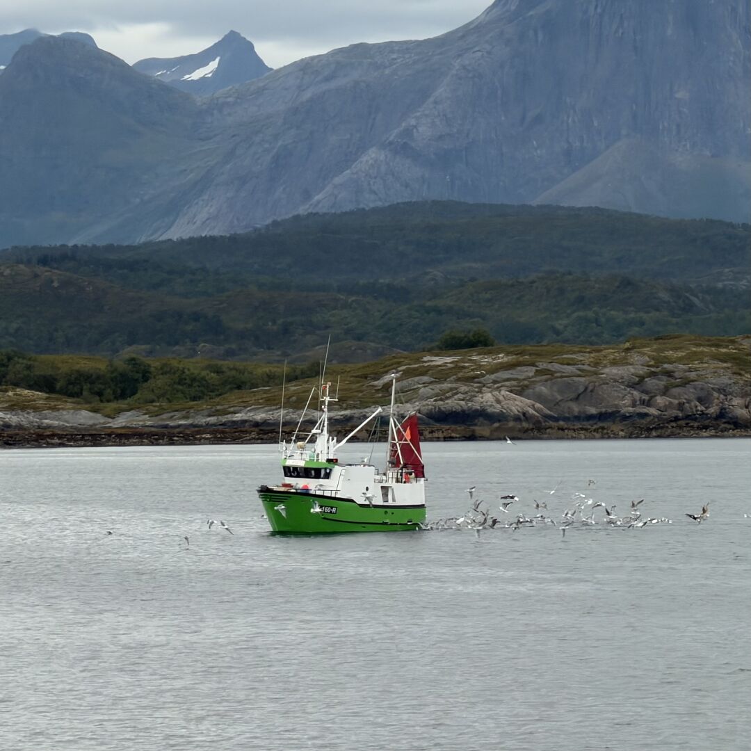 On the Way to Lofoten.