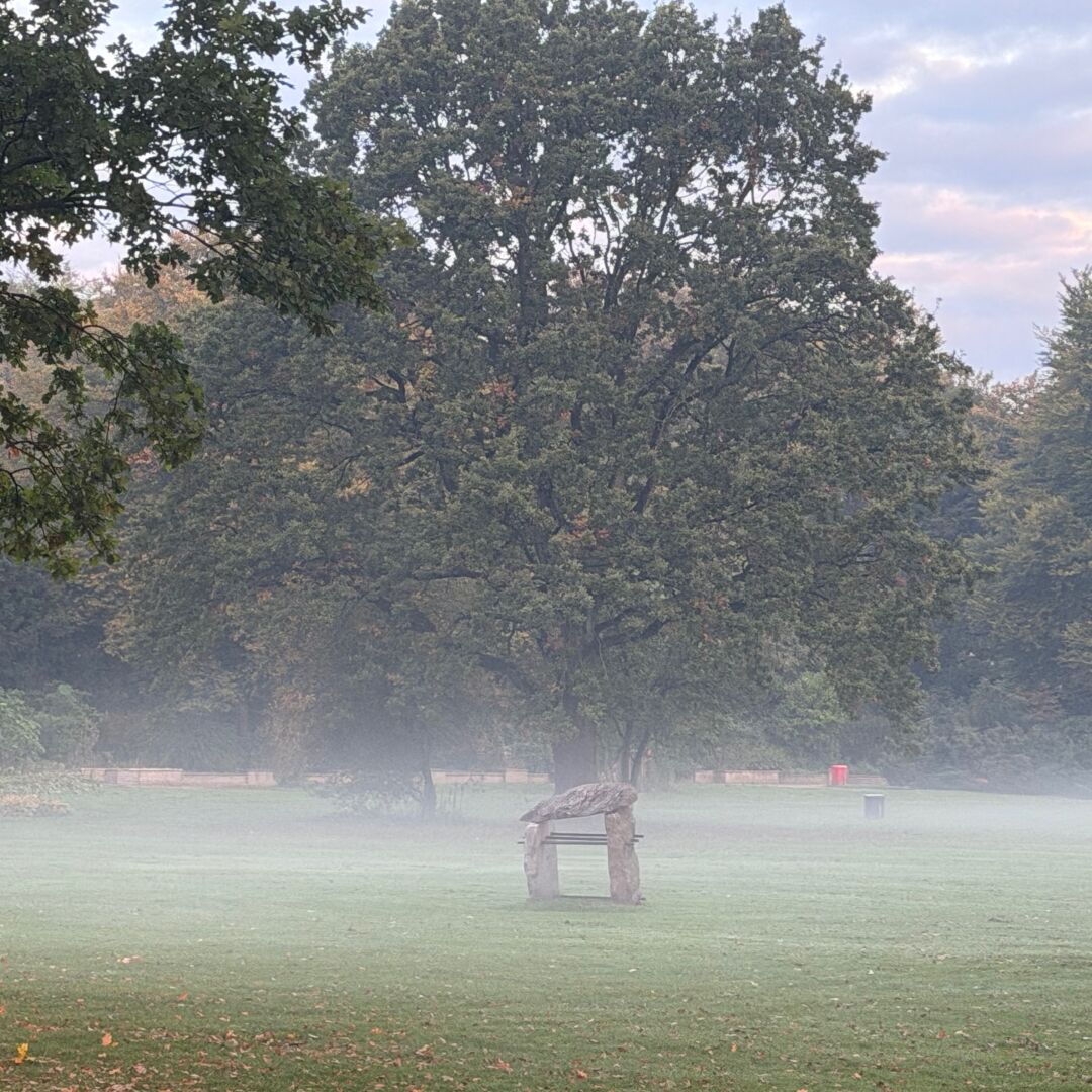 Herbstmorgen.
#hamburg #alster